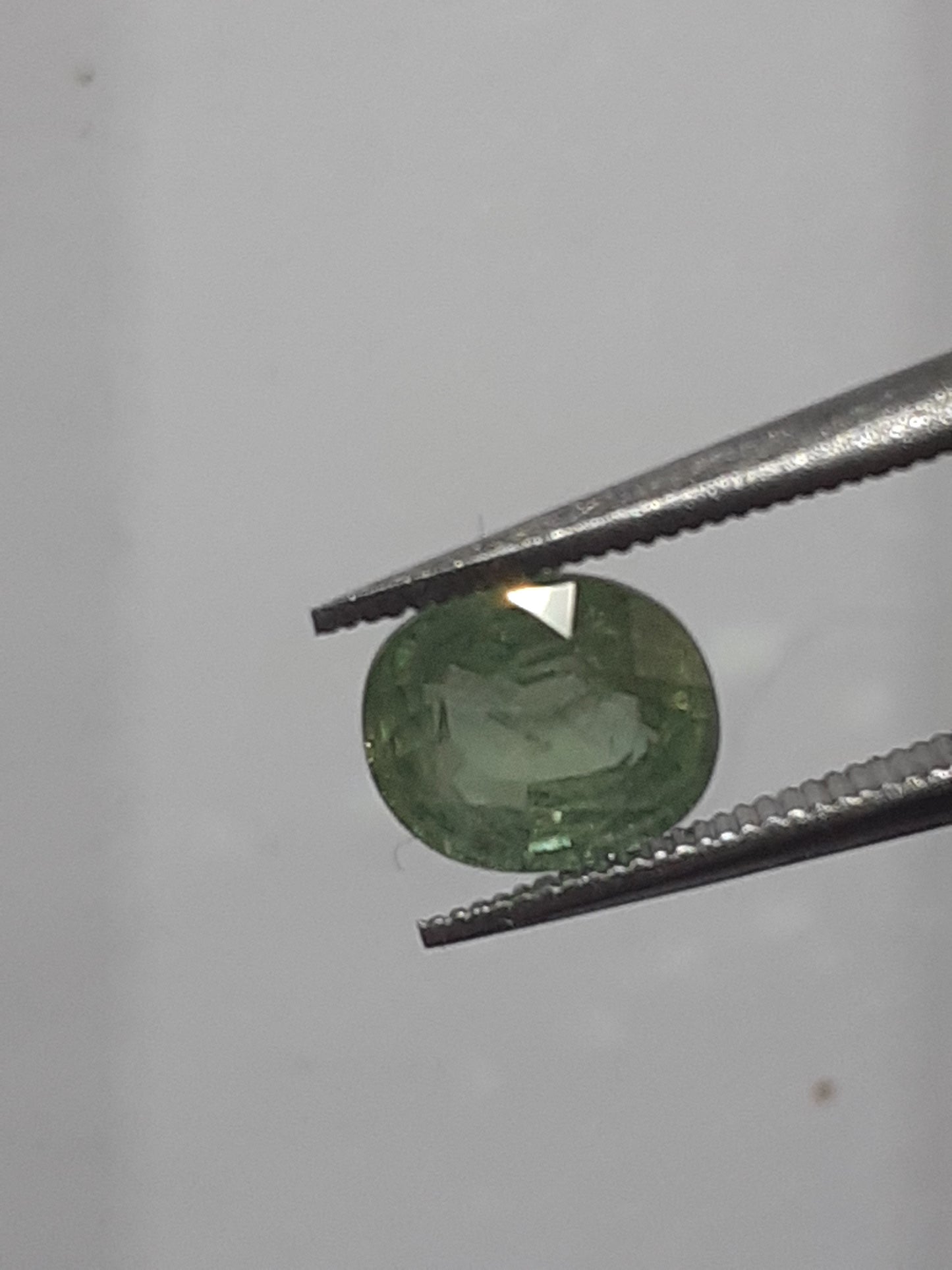 Natural light to deep green sapphire - 1.02 ct - oval - unheated - Australia - certified by NGB - Natural Gems Belgium