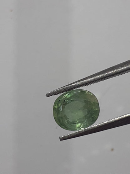 Natural light to deep green sapphire - 1.02 ct - oval - unheated - Australia - certified by NGB - Natural Gems Belgium