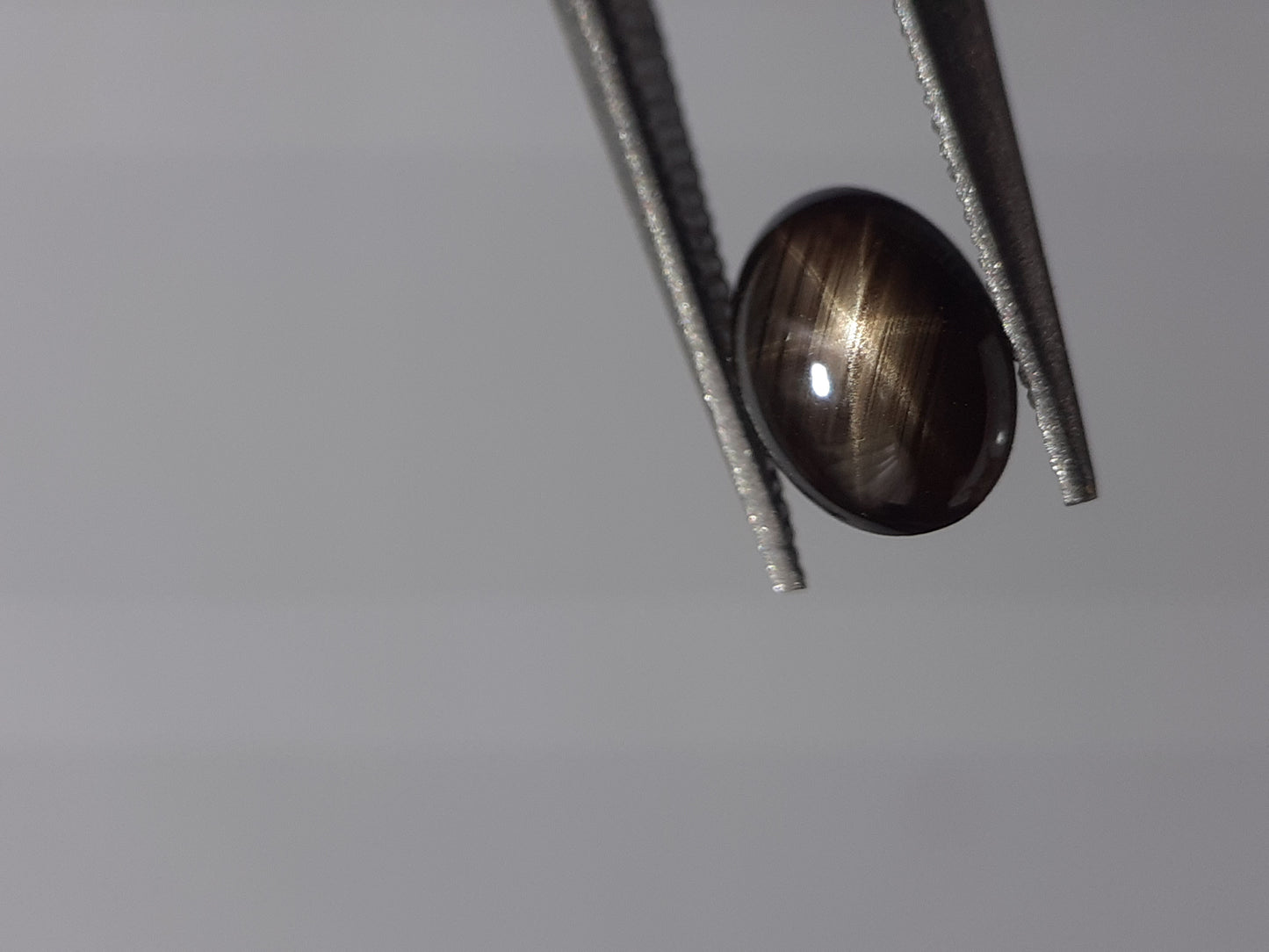 Natural black sapphire - 6 ray star - 0.75 ct - oval - unheated - Thailand - certified by NGB - Natural Gems Belgium