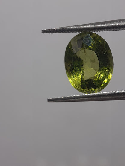 Natural Green Peridot - 1.83 ct - oval -unheated - certified by NGB - Natural Gems Belgium