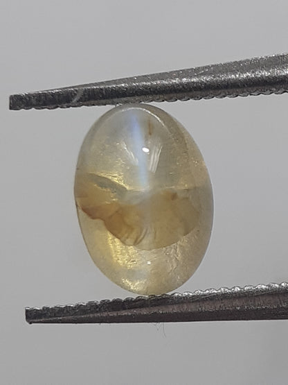 Natural bicolor chatoyance Chrysoberyl - 0.94 ct - oval - extremely rare - certified by NGB - Natural Gems Belgium