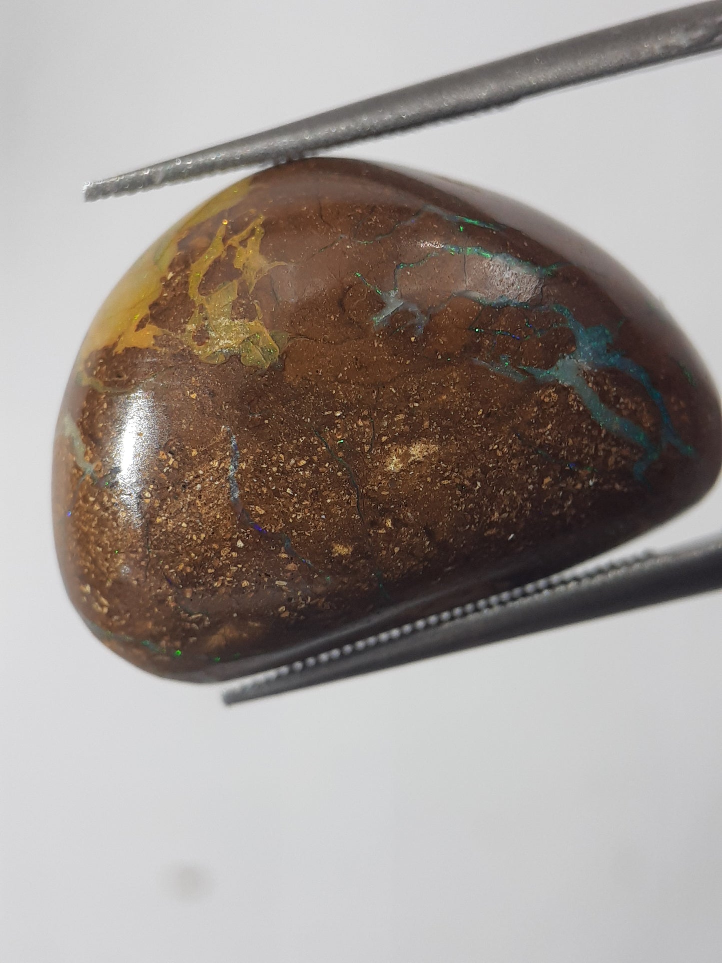 Natural yellow and blue Winton Matrix Boulder Opal - 16.91 ct - free form - unheated - certified by NGB - Natural Gems Belgium