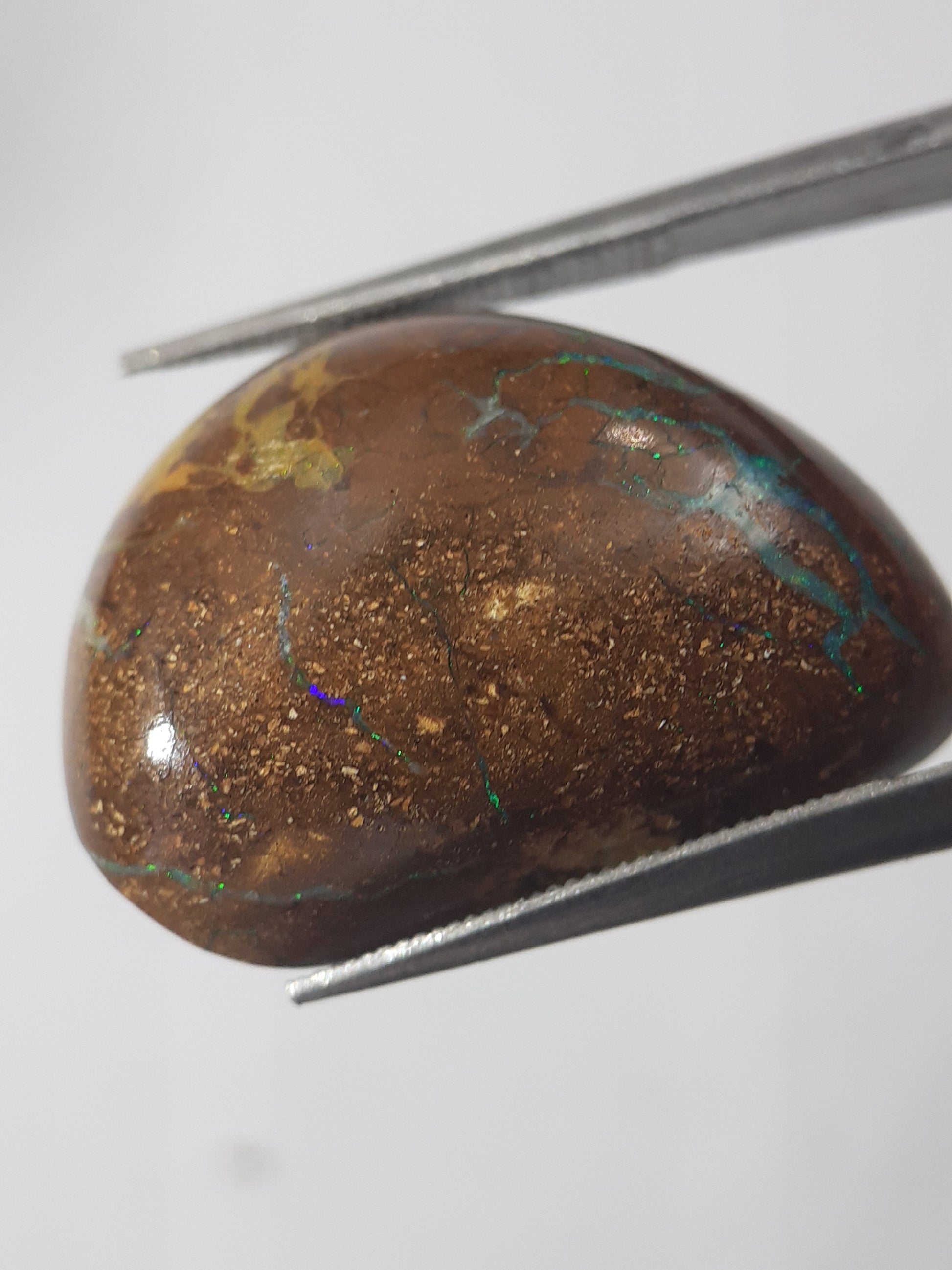 Natural yellow and blue Winton Matrix Boulder Opal - 16.91 ct - free form - unheated - certified by NGB - Natural Gems Belgium