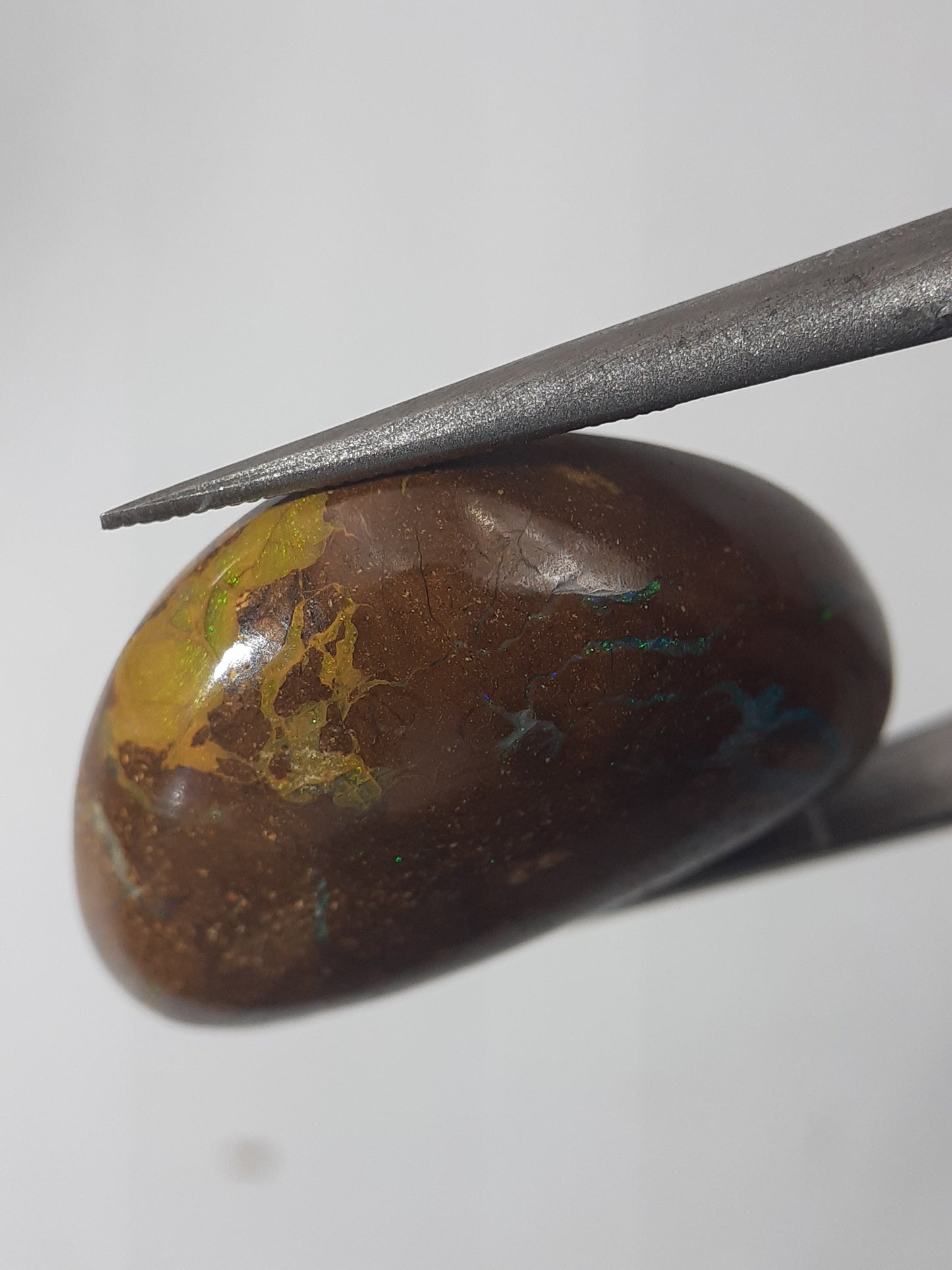 Natural yellow and blue Winton Matrix Boulder Opal - 16.91 ct - free form - unheated - certified by NGB - Natural Gems Belgium