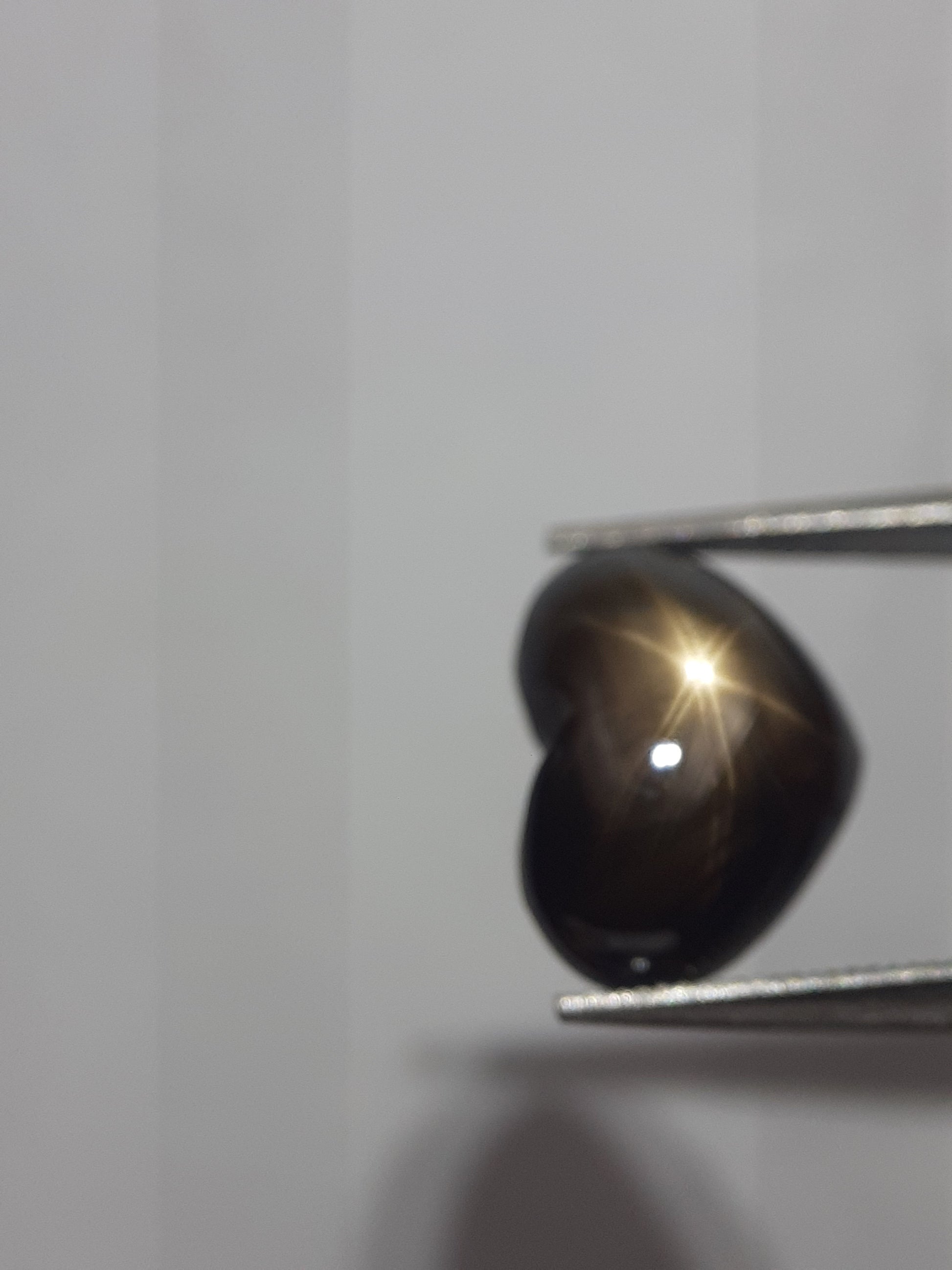 Natural black sapphire - 6 ray star - 3.90 ct - heart - unheated - certified by NGB - Natural Gems Belgium