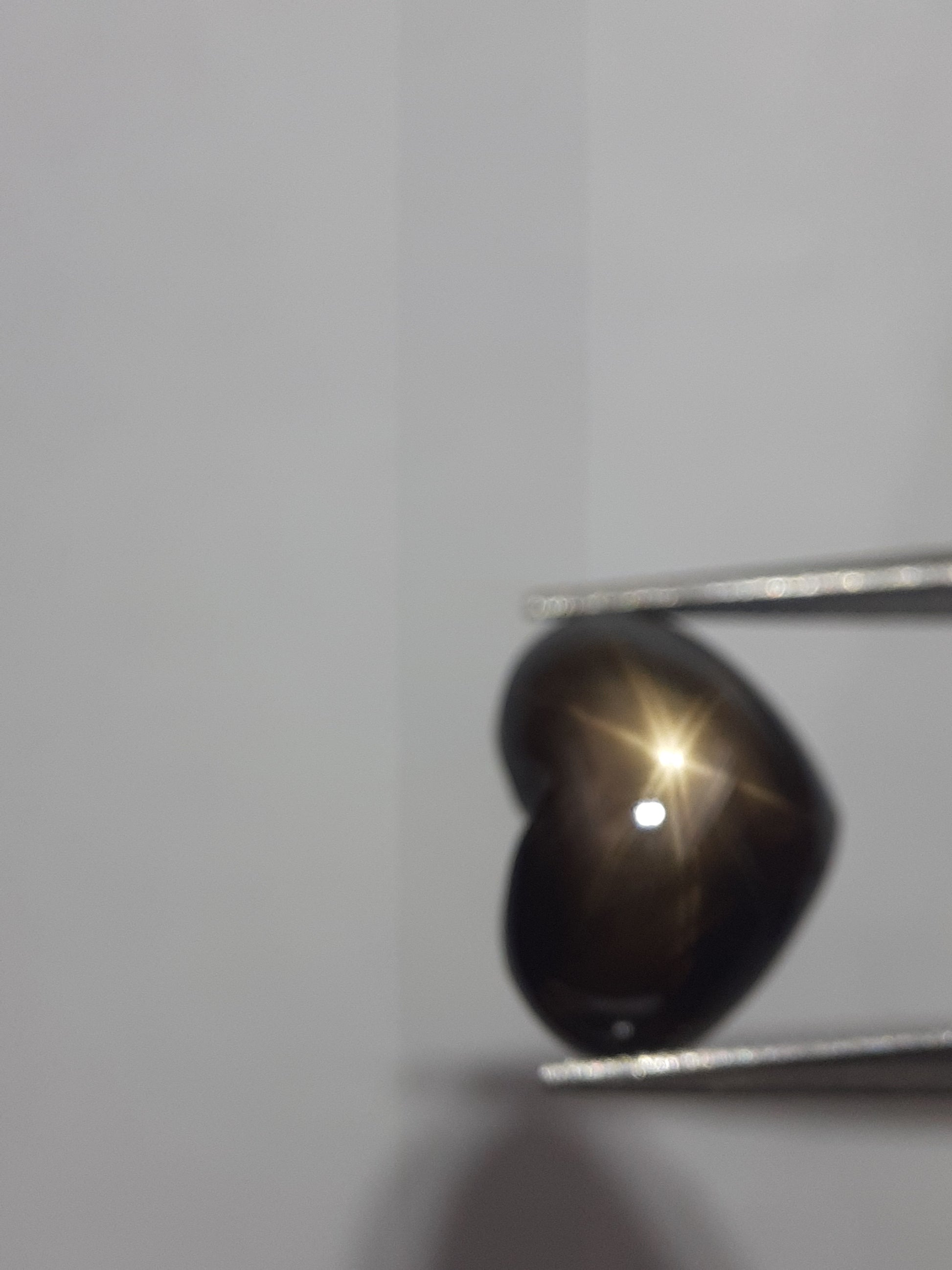 Natural black sapphire - 6 ray star - 3.90 ct - heart - unheated - certified by NGB - Natural Gems Belgium