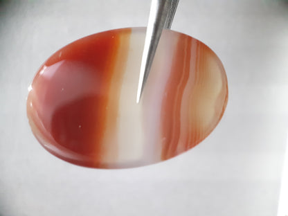 Natural orangy red Lake Superior Agate - 40.06 ct - oval Cabochon - unheated - certified by NGB - Natural Gems Belgium