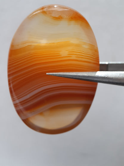 Natural orangy red Lake Superior Agate - 37.78 ct - oval Cabochon - unheated - certified by NGB - Natural Gems Belgium