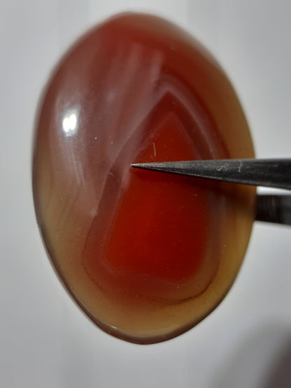 Natural brownish red Botswana Agate - 24.46 ct - oval Cabochon - unheated - certified by NGB - Natural Gems Belgium