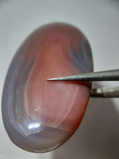 Natural red grey Botswana Agate - 52.82 ct - long oval Cabochon - unheated - certified by NGB - Natural Gems Belgium