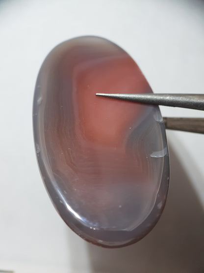 Natural red grey Botswana Agate - 52.82 ct - long oval Cabochon - unheated - certified by NGB - Natural Gems Belgium