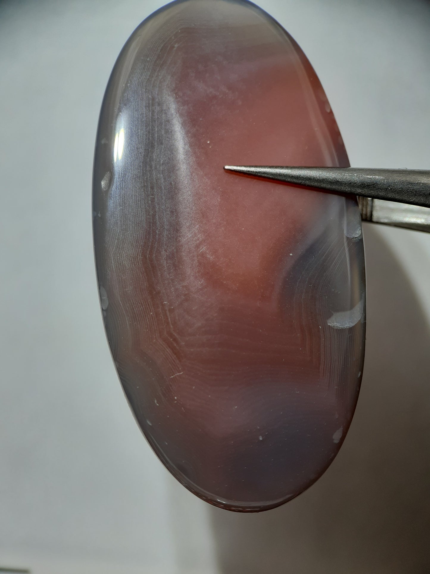 Natural red grey Botswana Agate - 52.82 ct - long oval Cabochon - unheated - certified by NGB - Natural Gems Belgium