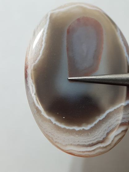 Natural white laced midnight red Botswana Agate - 36.91 ct - oval Cabochon - unique - certified by NGB - Natural Gems Belgium