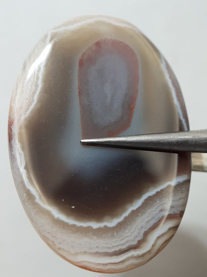 Natural white laced midnight red Botswana Agate - 36.91 ct - oval Cabochon - unique - certified by NGB - Natural Gems Belgium