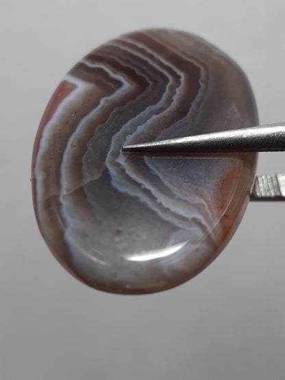 Natural grey black white brown Botswana Agate - 23.61 ct - oval Cabochon - unique - certified by NGB - Natural Gems Belgium