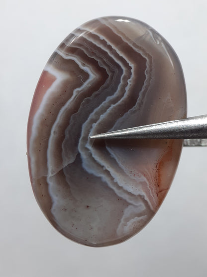 Natural grey black white brown Botswana Agate - 23.61 ct - oval Cabochon - unique - certified by NGB - Natural Gems Belgium