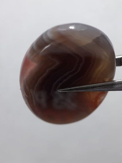 Natural grey black white brown Botswana Agate - 23.61 ct - oval Cabochon - unique - certified by NGB - Natural Gems Belgium