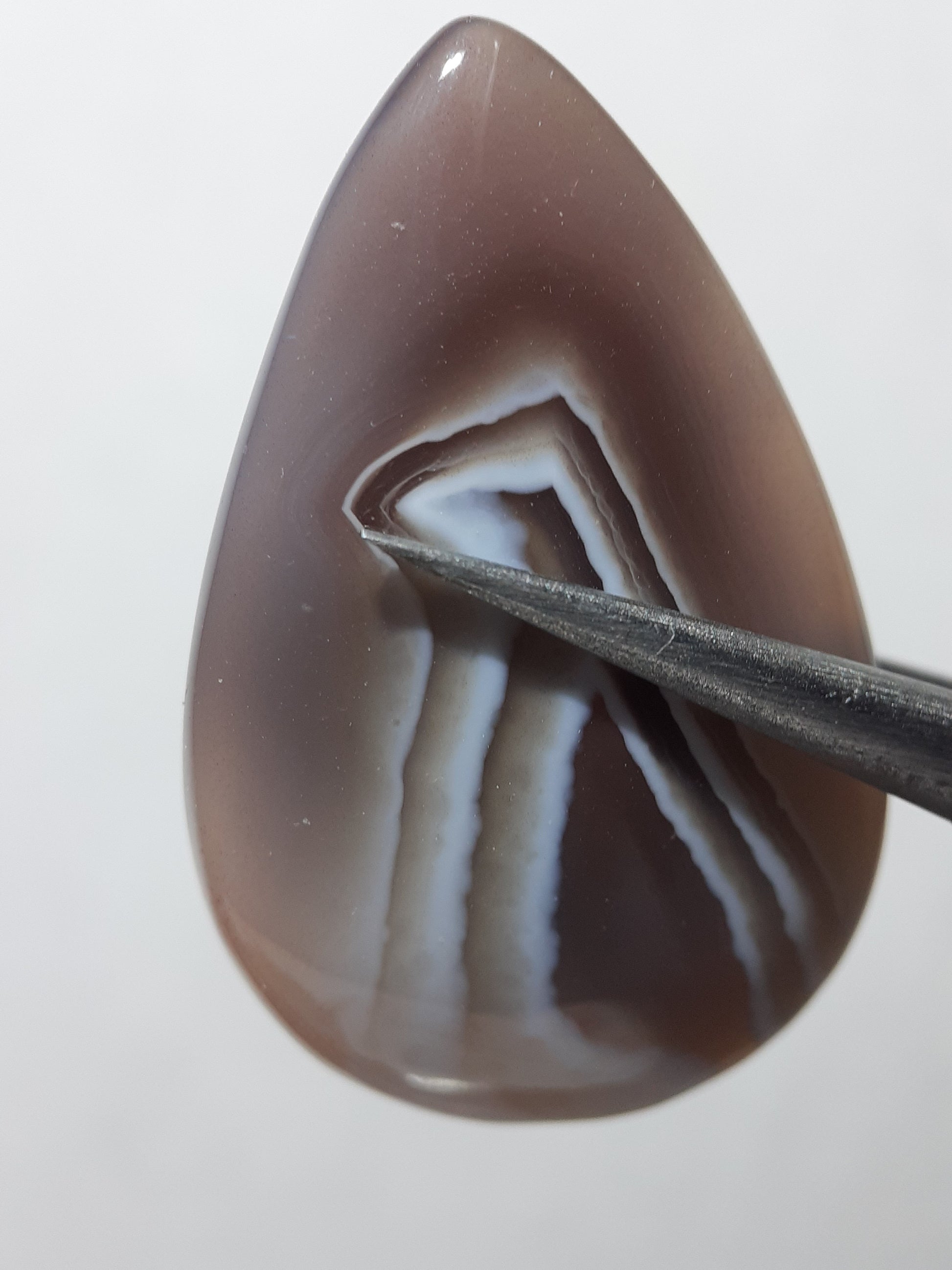 Natural purplish brown and white Botswana Agate - 21.47 ct - pear Cabochon - unique - certified by NGB - Natural Gems Belgium