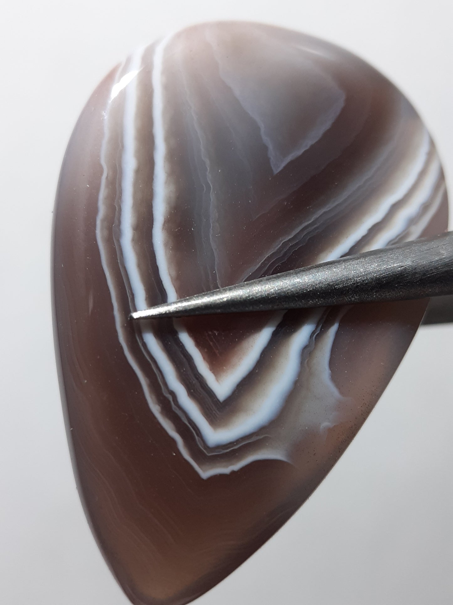 Natural purplish brown and white Botswana Agate - 21.47 ct - pear Cabochon - unique - certified by NGB - Natural Gems Belgium