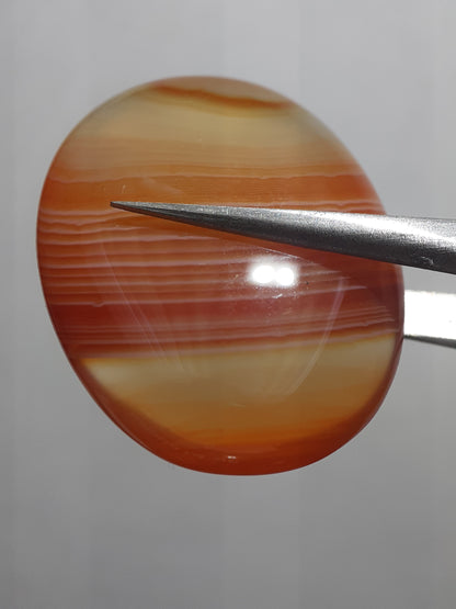 Natural orange orangy red and red Lake Superior Agate - 34.92 ct - oval Cabochon - unheated - certified by NGB - Natural Gems Belgium