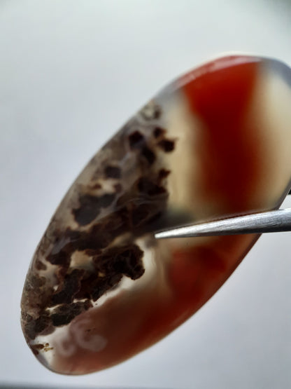 Natural deep red, purplish grey and moss included Botswana Agate - 44.37 ct - oval Cabochon - unique - certified by NGB - Natural Gems Belgium