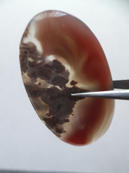 Natural deep red, purplish grey and moss included Botswana Agate - 44.37 ct - oval Cabochon - unique - certified by NGB - Natural Gems Belgium