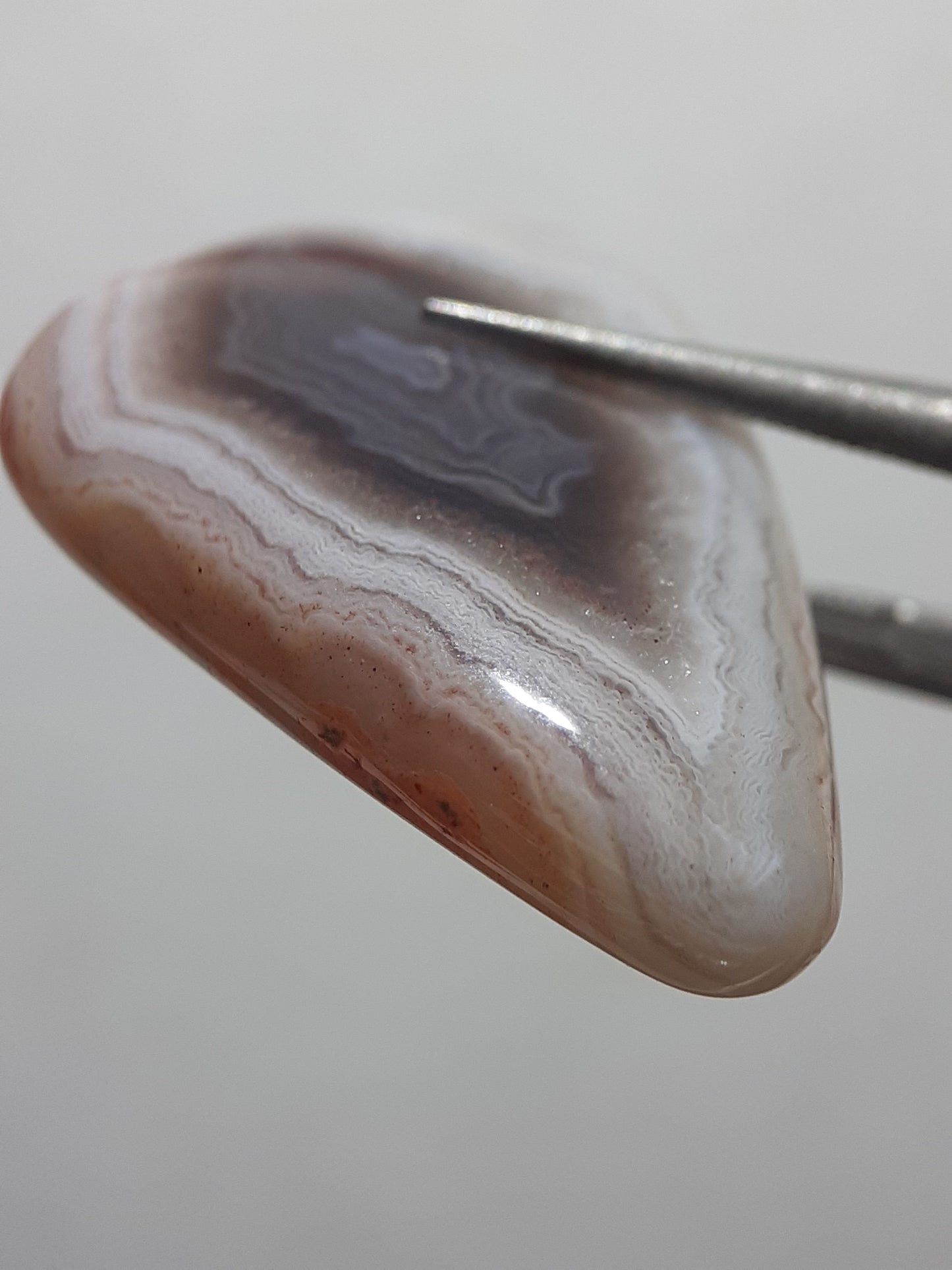 Natural Light brown white laced Botswana Agate - 20.18 ct - pear Cabochon - Amazing color and pattern - Natural Gems Belgium