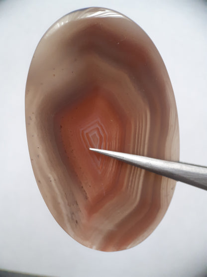 Natural brownish red and puplish grey Botswana Agate - 57.15 ct - oval Cabochon - Natural Gems Belgium