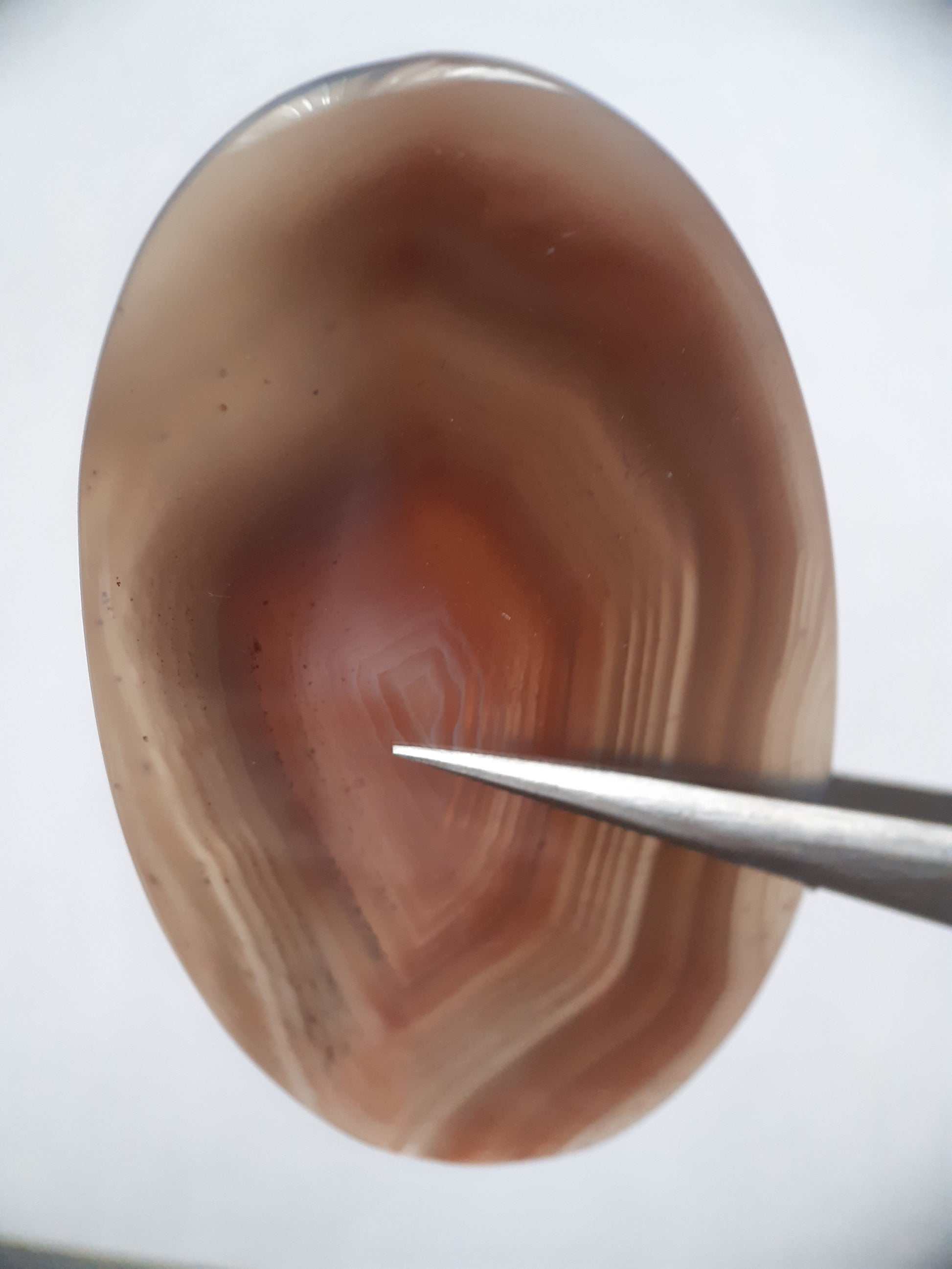 Natural brownish red and puplish grey Botswana Agate - 57.15 ct - oval Cabochon - Natural Gems Belgium