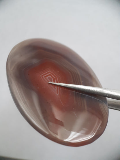 Natural brownish red and puplish grey Botswana Agate - 57.15 ct - oval Cabochon - Natural Gems Belgium