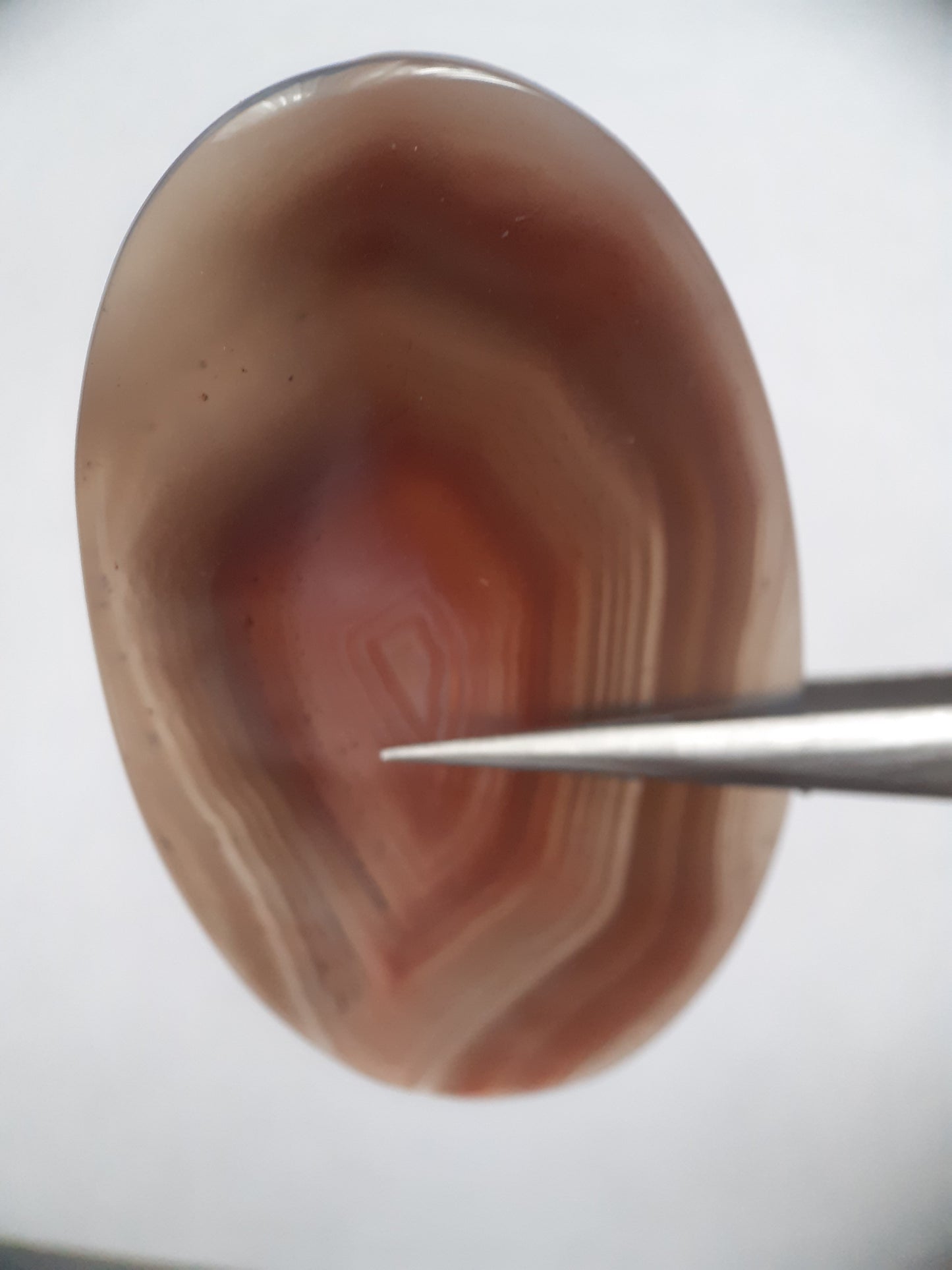 Natural brownish red and puplish grey Botswana Agate - 57.15 ct - oval Cabochon - Natural Gems Belgium