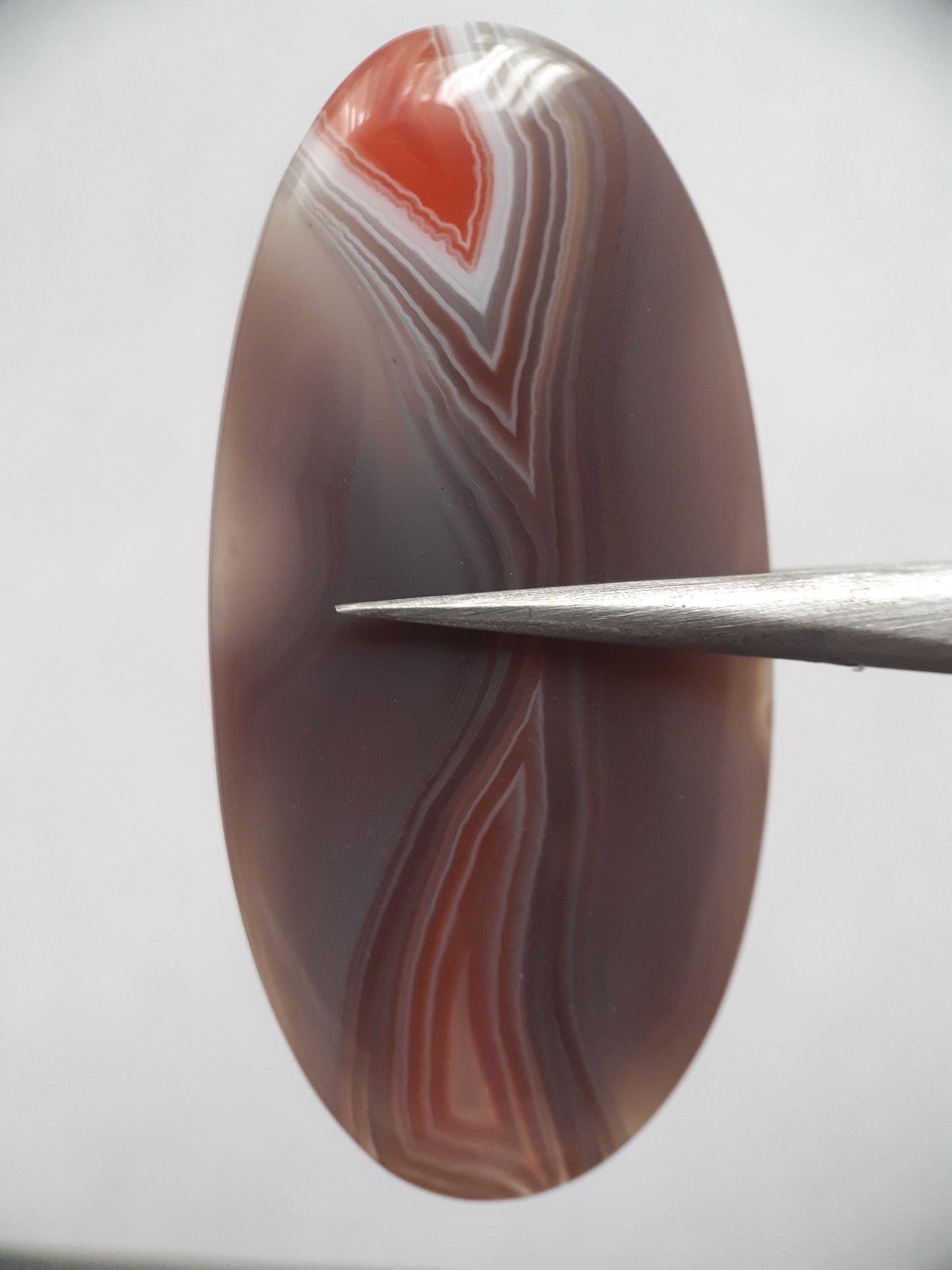 Natural grey and orangy red Botswana Agate - 36.98 ct - oval - amazing pattern and color - Natural Gems Belgium