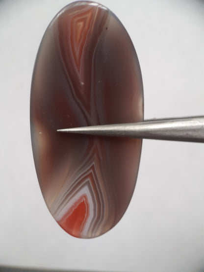 Natural grey and orangy red Botswana Agate - 36.98 ct - oval - amazing pattern and color - Natural Gems Belgium