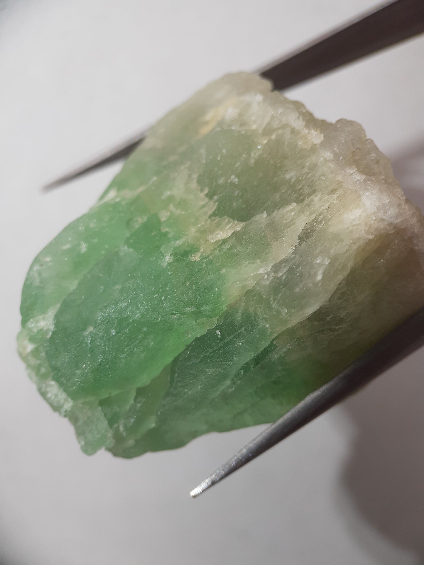 Natural Green Fluorite - 154.93 ct - Rough Gemstone - unheated - Certified by NGB - Natural Gems Belgium