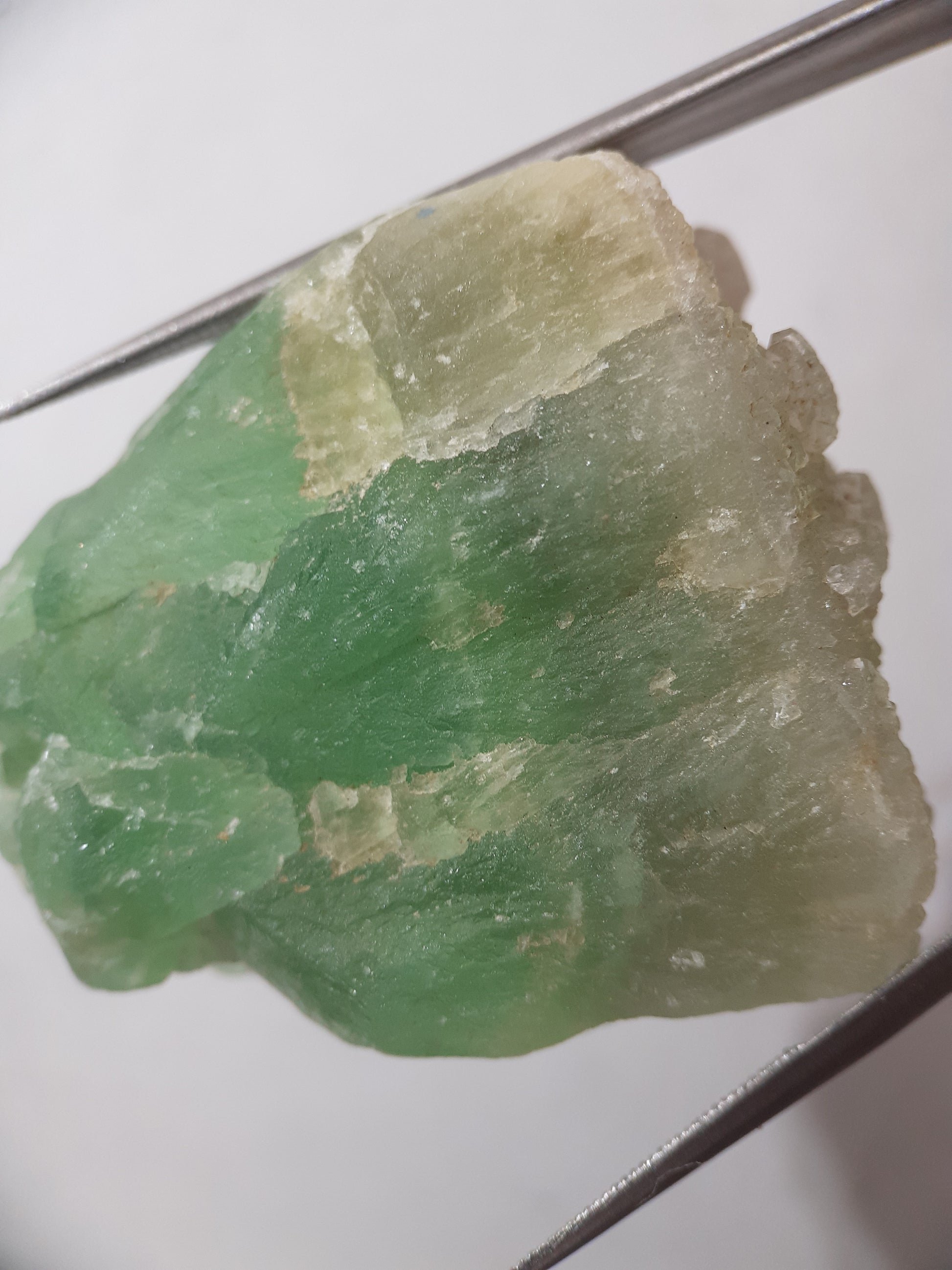 Natural Green Fluorite - 154.93 ct - Rough Gemstone - unheated - Certified by NGB - Natural Gems Belgium