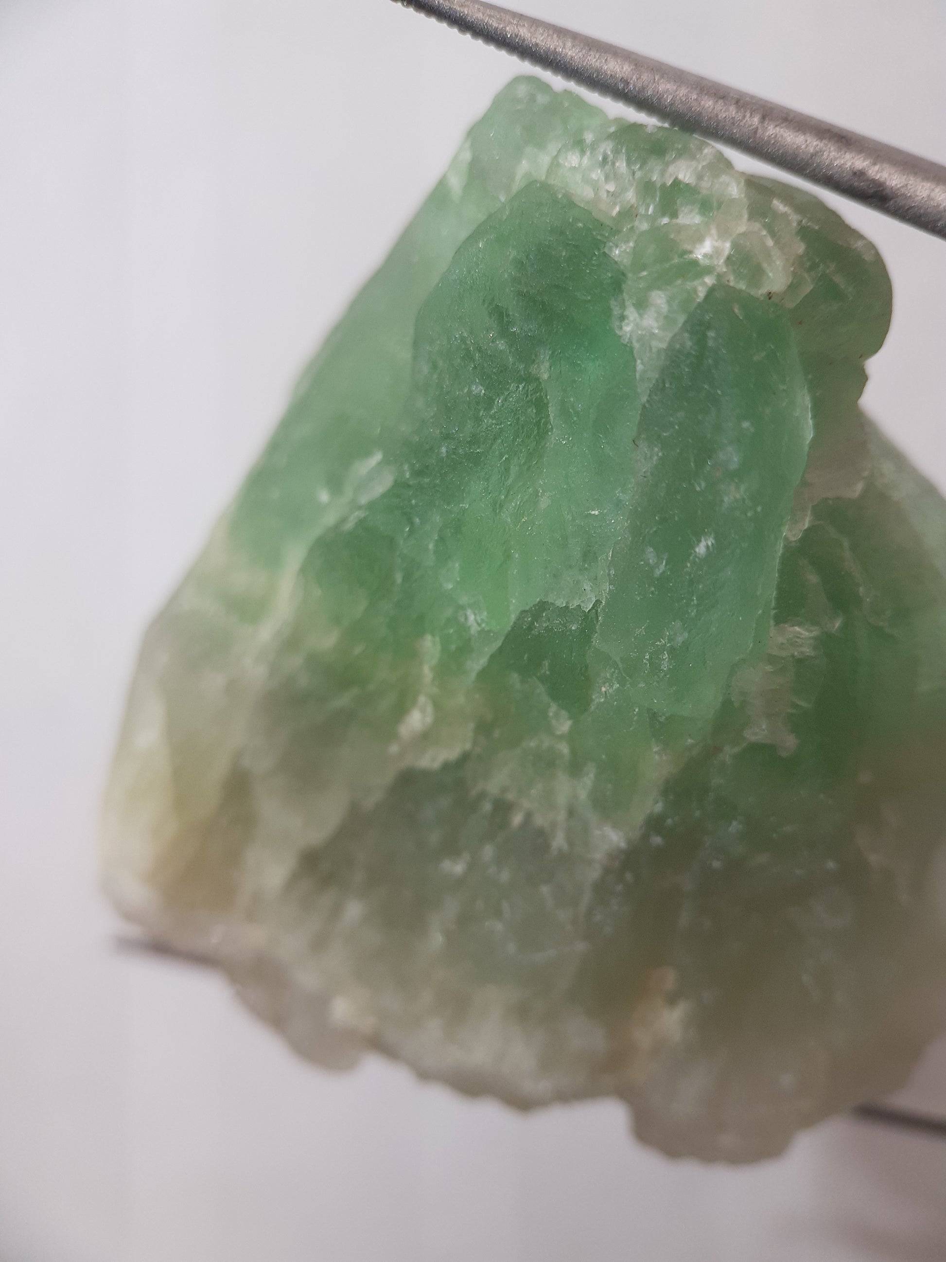 Natural Green Fluorite - 154.93 ct - Rough Gemstone - unheated - Certified by NGB - Natural Gems Belgium