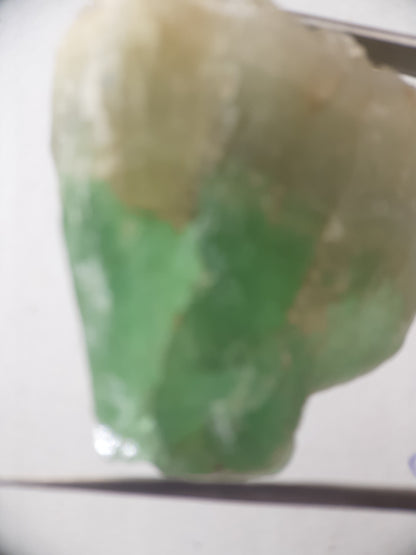 Natural Green Fluorite - 154.93 ct - Rough Gemstone - unheated - Certified by NGB - Natural Gems Belgium