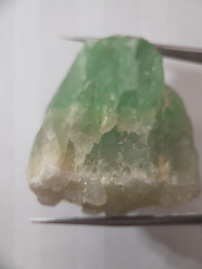 Natural Green Fluorite - 154.93 ct - Rough Gemstone - unheated - Certified by NGB - Natural Gems Belgium