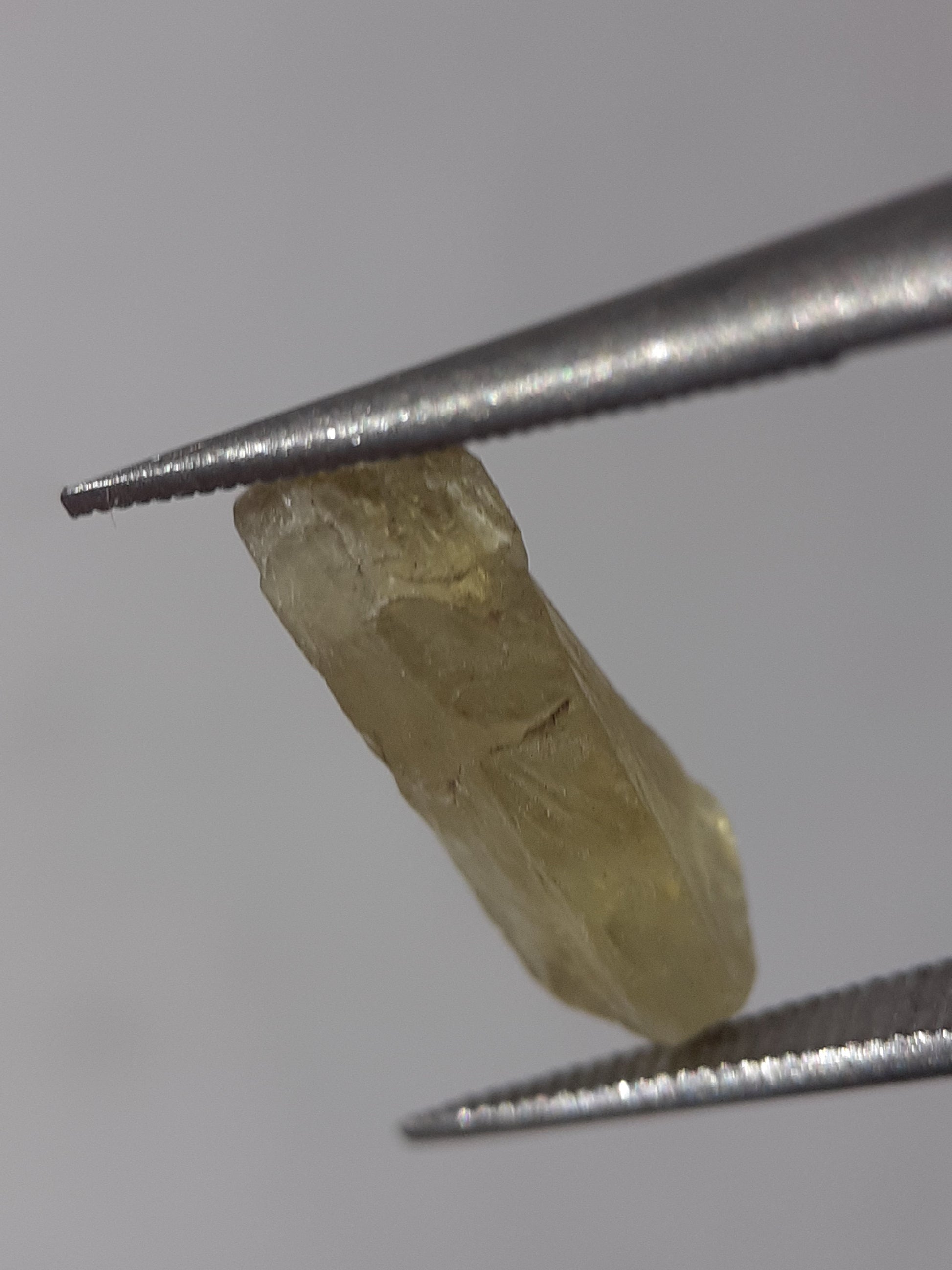 Natural Yellow Apatite - 1.76 ct - Rough Gemstone - unheated - Natural Gems Belgium