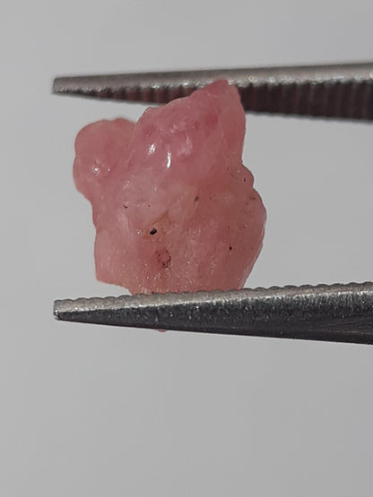 Natural Pink Spinel - 1.53 ct - Rough Gemstone - unheated - Natural Gems Belgium