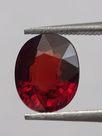 Natural reddish orange Spessartite Garnet - 1.79 ct - Oval - unheated - Natural Gems Belgium