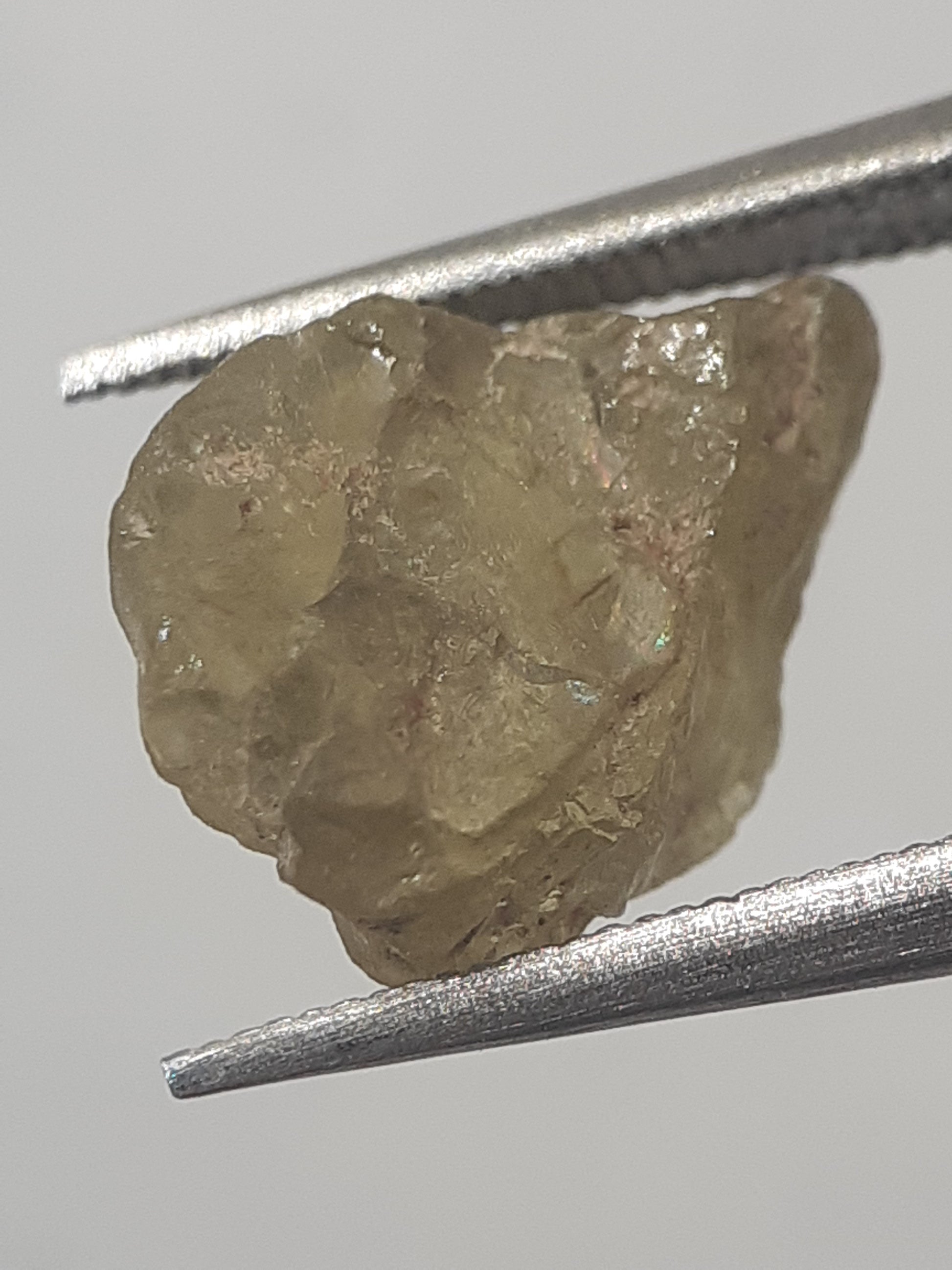 Natural Greenish Yellow Apatite - 2.88 ct - Rough Gemstone - unheated - Natural Gems Belgium