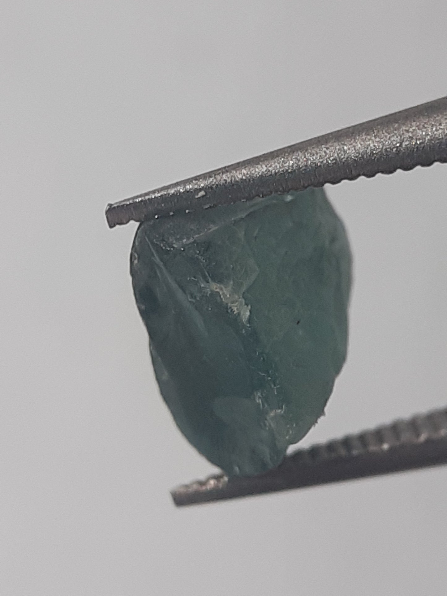 Natural bluish green Apatite - 1.28 ct - Rough Gemstone - unheated - Natural Gems Belgium