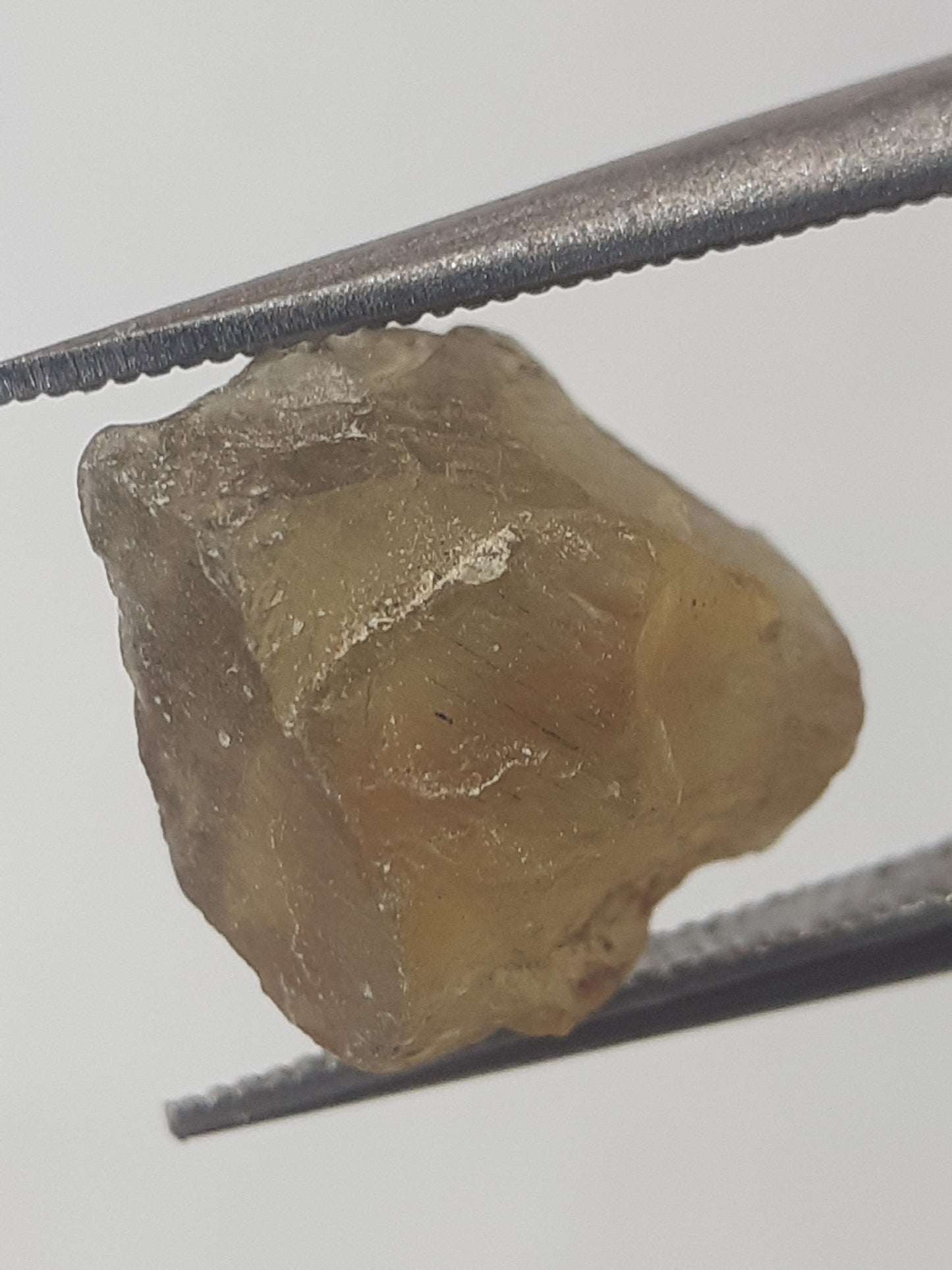 Natural orangy yellow Apatite - 2.88 ct - Rough Gemstone - unheated - Natural Gems Belgium