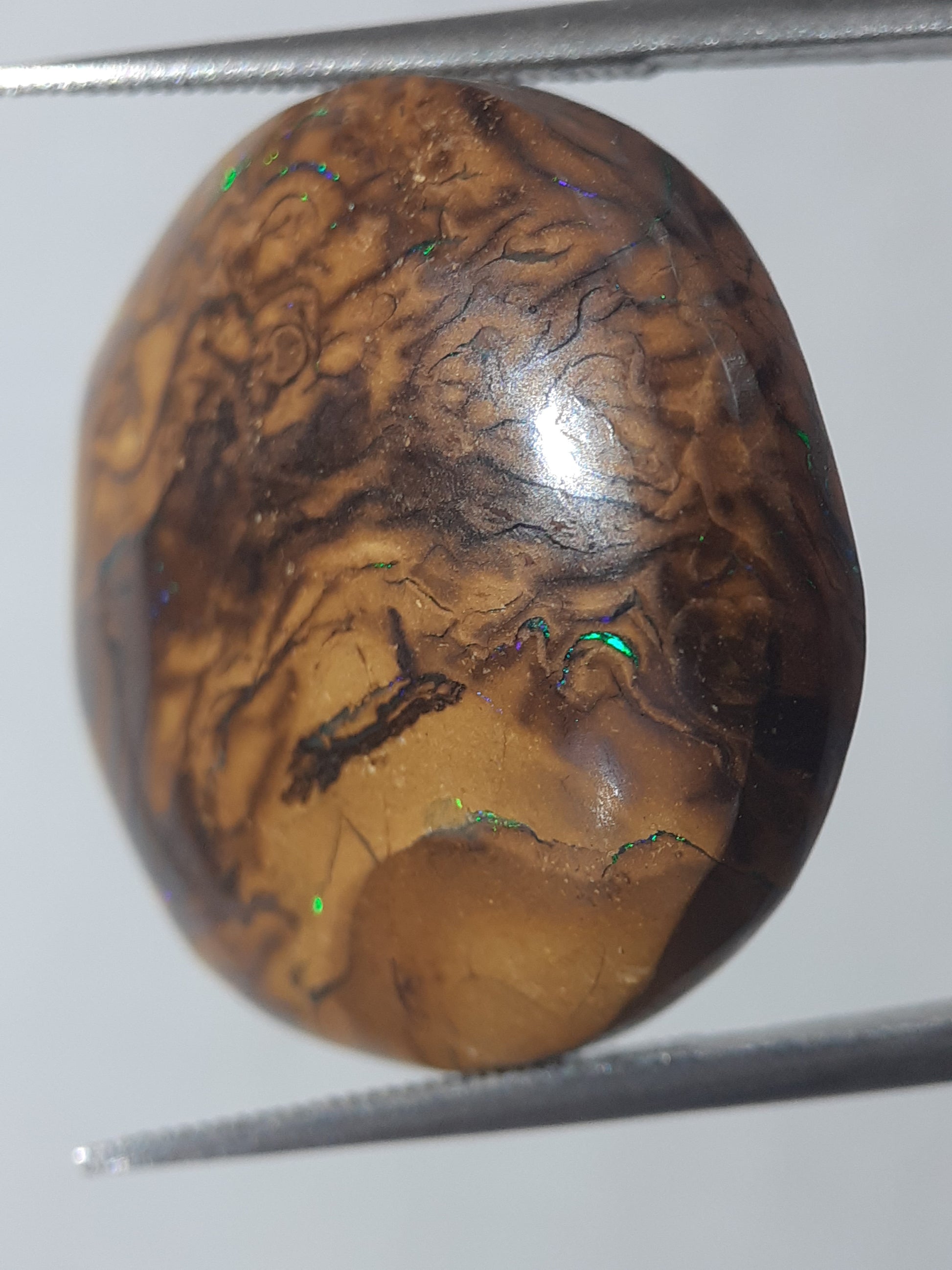 Natural orangy brown Winton Matrix Boulder Opal - 24.15 ct - semi round - unheated - Natural Gems Belgium