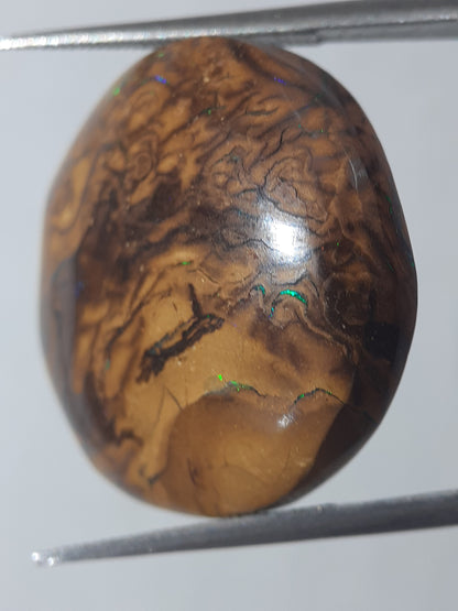 Natural orangy brown Winton Matrix Boulder Opal - 24.15 ct - semi round - unheated - Natural Gems Belgium