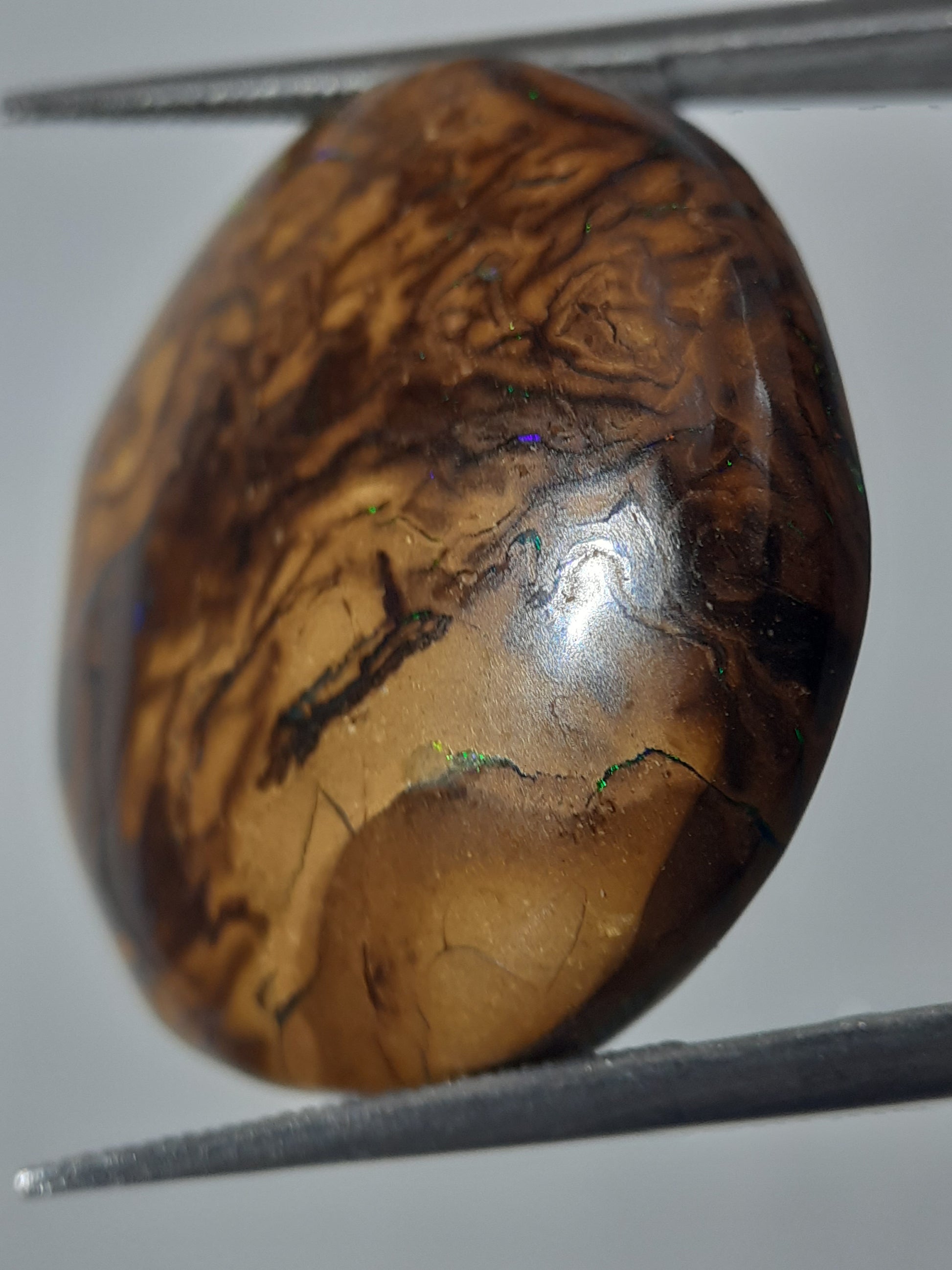 Natural orangy brown Winton Matrix Boulder Opal - 24.15 ct - semi round - unheated - Natural Gems Belgium