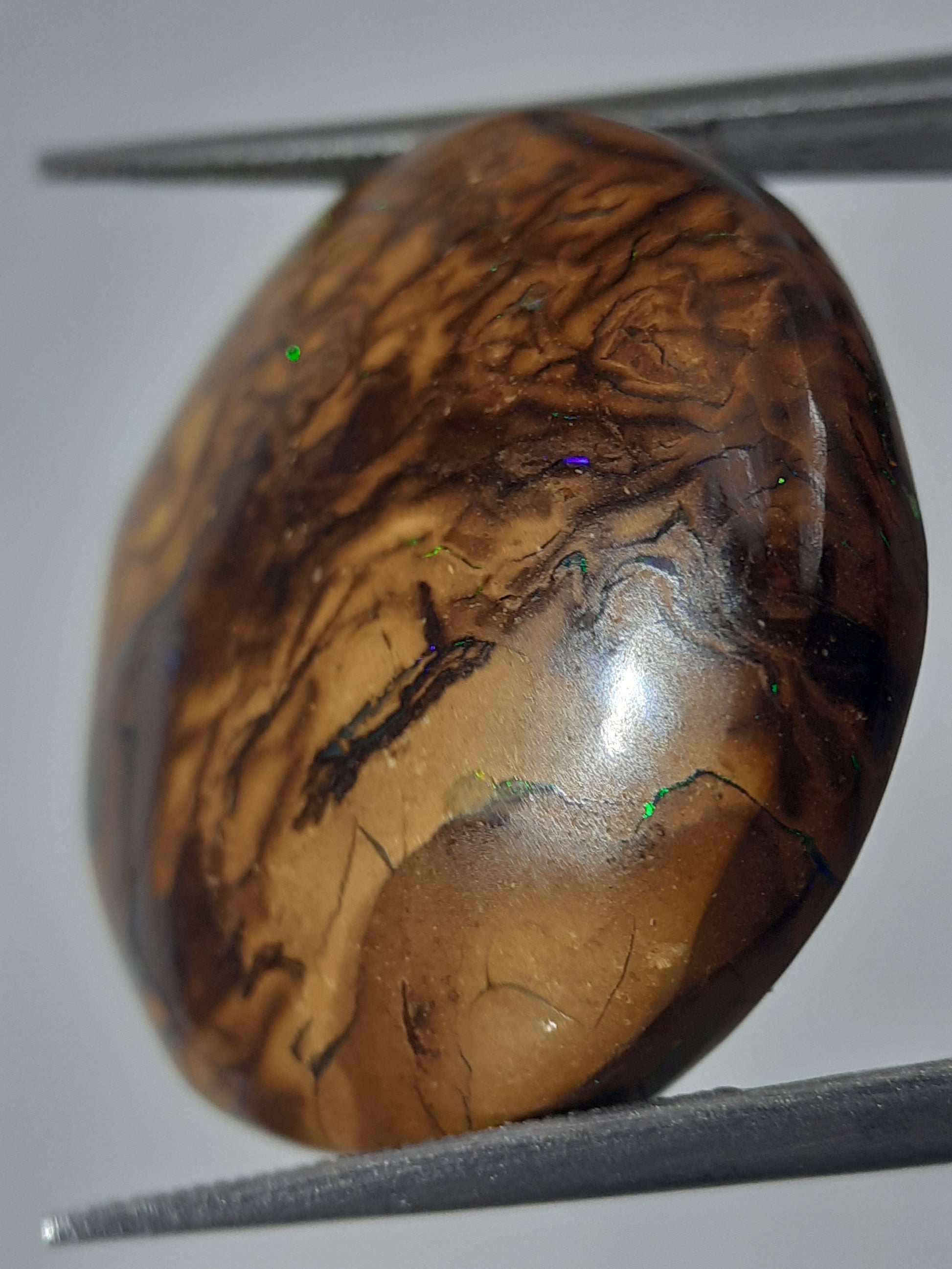 Natural orangy brown Winton Matrix Boulder Opal - 24.15 ct - semi round - unheated - Natural Gems Belgium