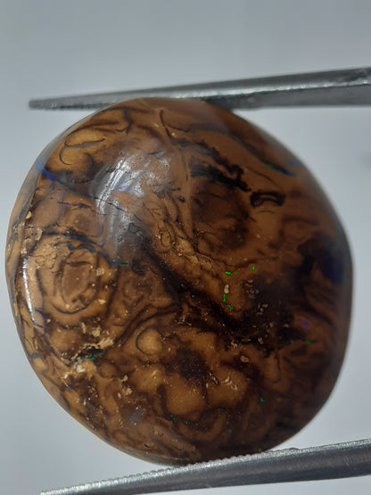 Natural orangy brown Winton Matrix Boulder Opal - 24.15 ct - semi round - unheated - Natural Gems Belgium