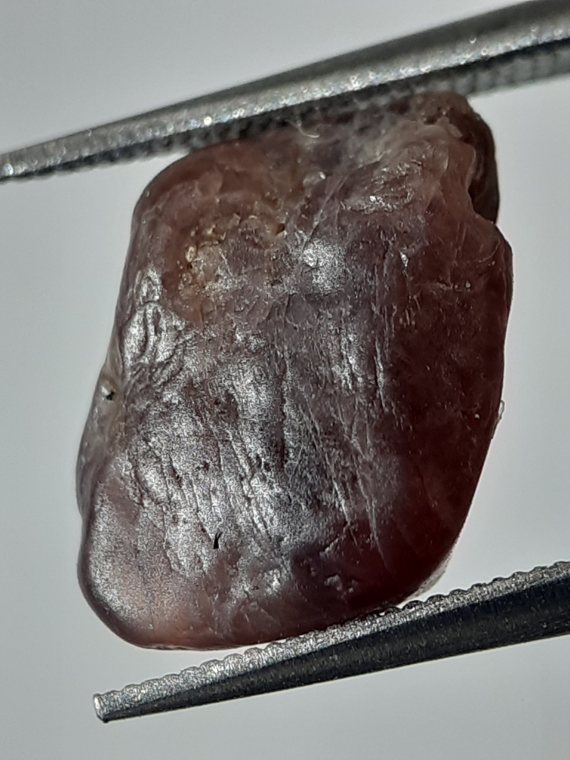 Natural purplish red Spinel - 4.637 ct - Rough Gemstone - unheated - Natural Gems Belgium